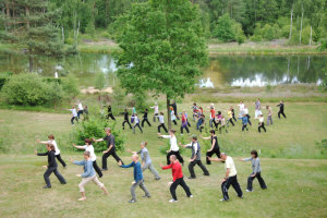 AG Yang Family Taijiquan Schleswig Holstein im DTB