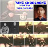 Yang Family Tai Chi - Yang Zhenming traditional Family Form Youtube